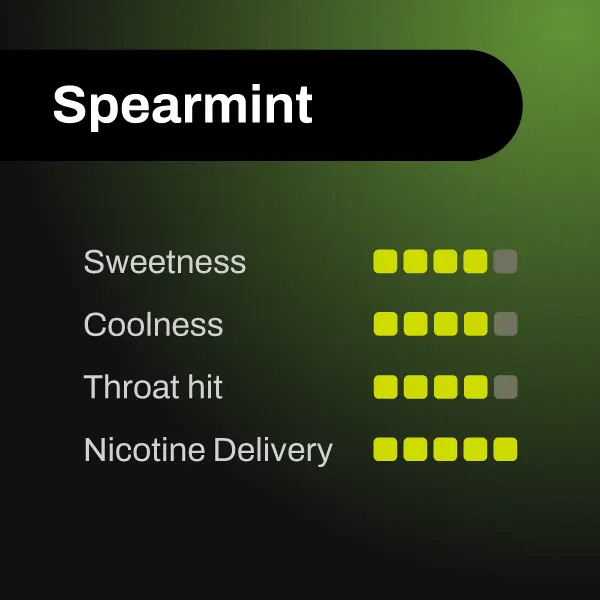 spearmint1